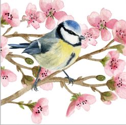 Paperproducts Servietten 33x33 cm Oiseau Printemps 