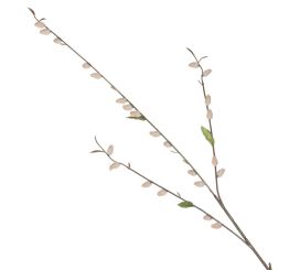 Leonardo Pesaro Weidenkätzchen 86 Rosa 