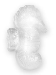 Lurch Eiswürfelbereiter Tropical sea horse 