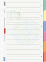 Brunnen Ringbuchregister A4 6tlg Blauer Engel 