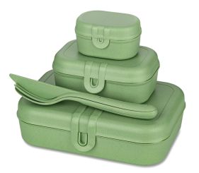 Koziol Lunchbox-Set + Besteck-Set Pascal Ready nature leaf green 