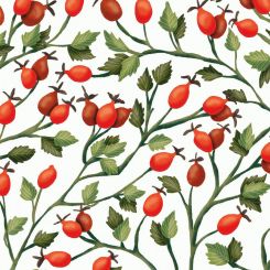 Paperproducts Servietten 33x33 cm Rosehips 