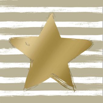 Paperproducts Servietten 33x33 cm Star & Stripes taupe 