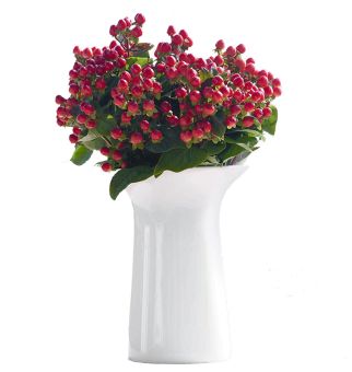 ASA Selection Colori 3.0 Vase weiss Ø 8,5 cm H 11 cm 