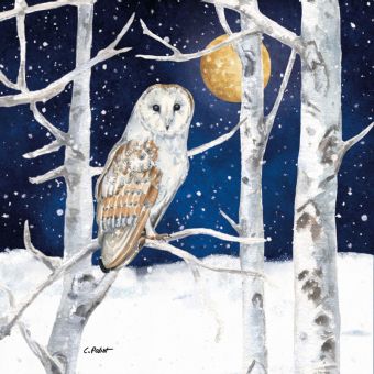 Paperproducts Servietten 33x33 cm Winter Owl 