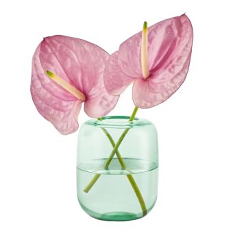 Eva Solo Vase H 16,5 Acorn Mint green 