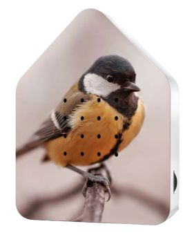 Relaxhound Zwitscherbox LE Fall 24 Great Tit 