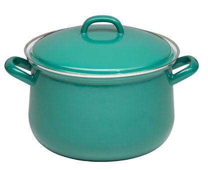 Riess Fleischtopf mit Deckel 20cm,3.5L Nature Green Dark 