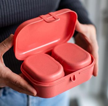 Koziol Lunchbox Pascal Ready Mini nature flower blue 