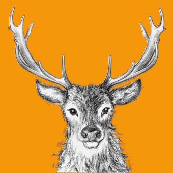 Paperproducts Servietten 33x33 cm Paul orange 