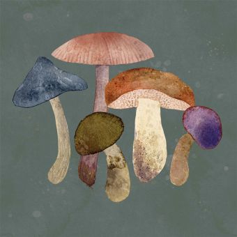 Paperproducts Servietten 33x33 cm Mushroom Fantasy 