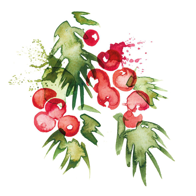 Paperproducts Design Servietten 33x33 cm Beauty Fachhändler